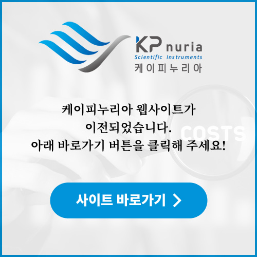 사이트 이전 안내 팝업